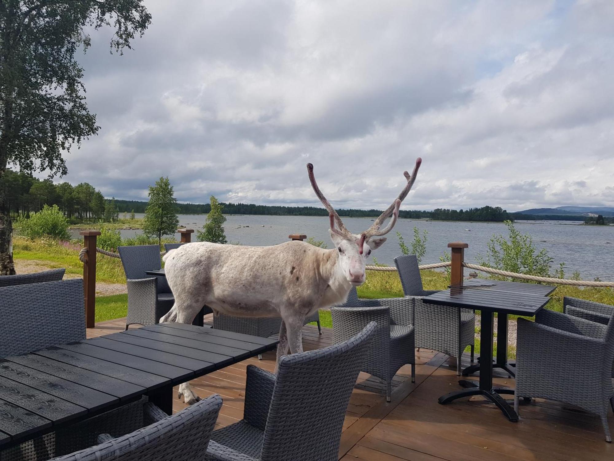 Kraja Hotel Arjeplog Exterior foto
