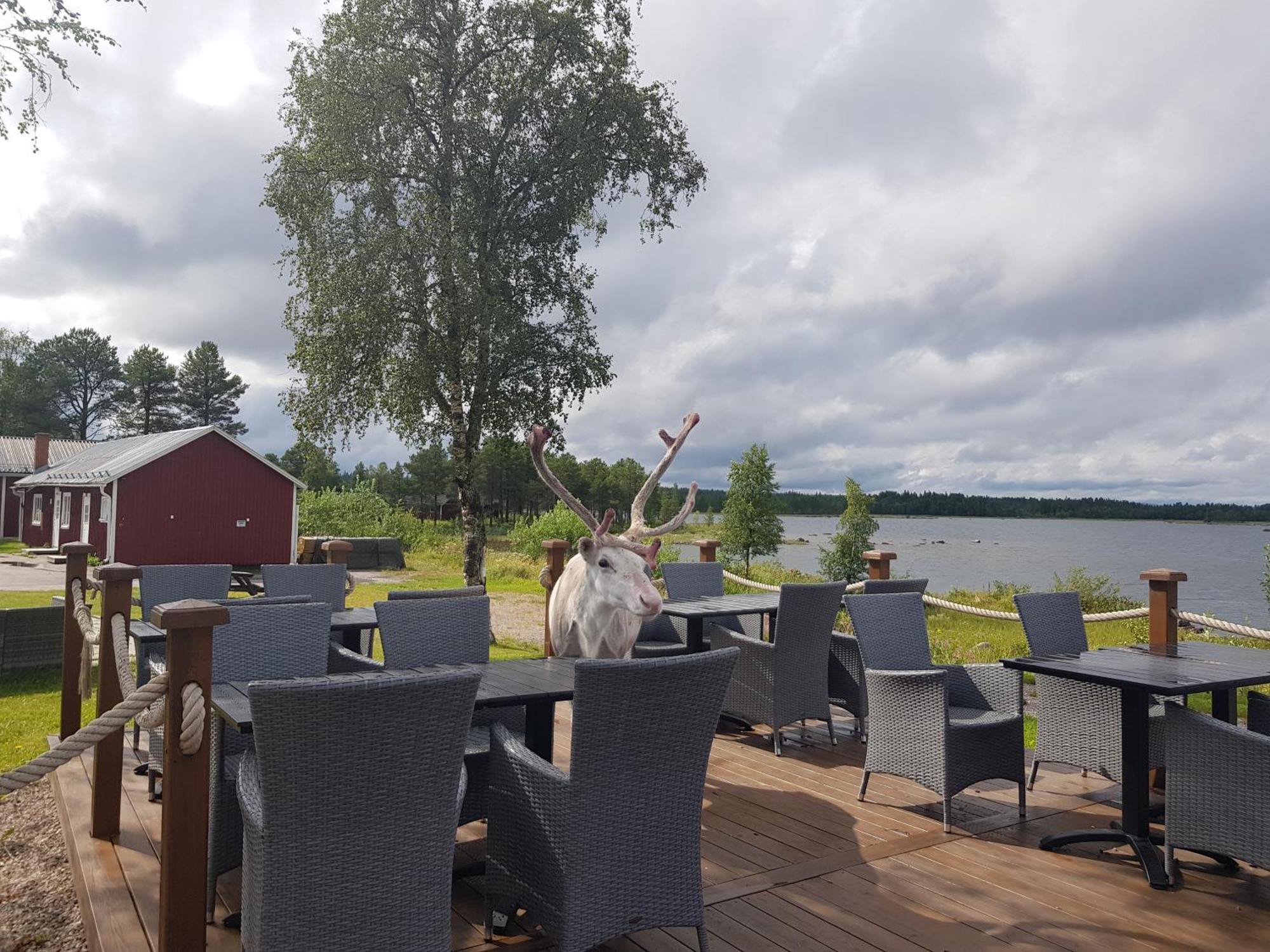 Kraja Hotel Arjeplog Exterior foto